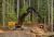 FM568 General Forestry and Log Loader Machine
