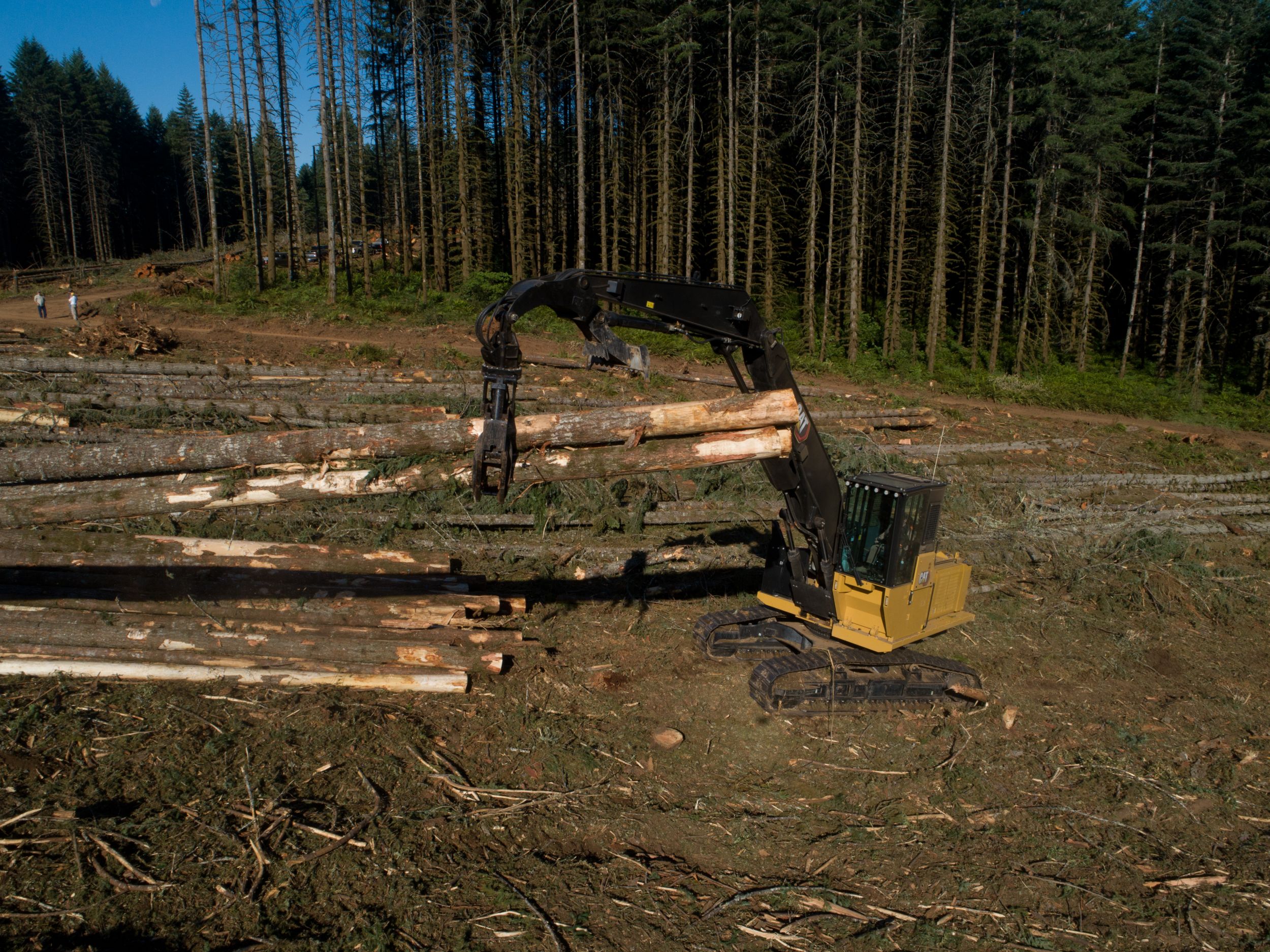 With increased engine power, swing power, and travel power, the Cat FM568 can move big timber quickly and efficiently.