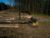 FM568 General Forestry and Log Loader Machine