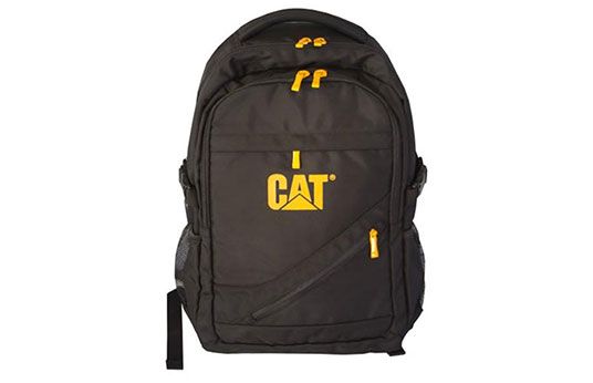 extremely Penmanship repose School Must-Haves for Any Cat Fan | Cat | Caterpillar