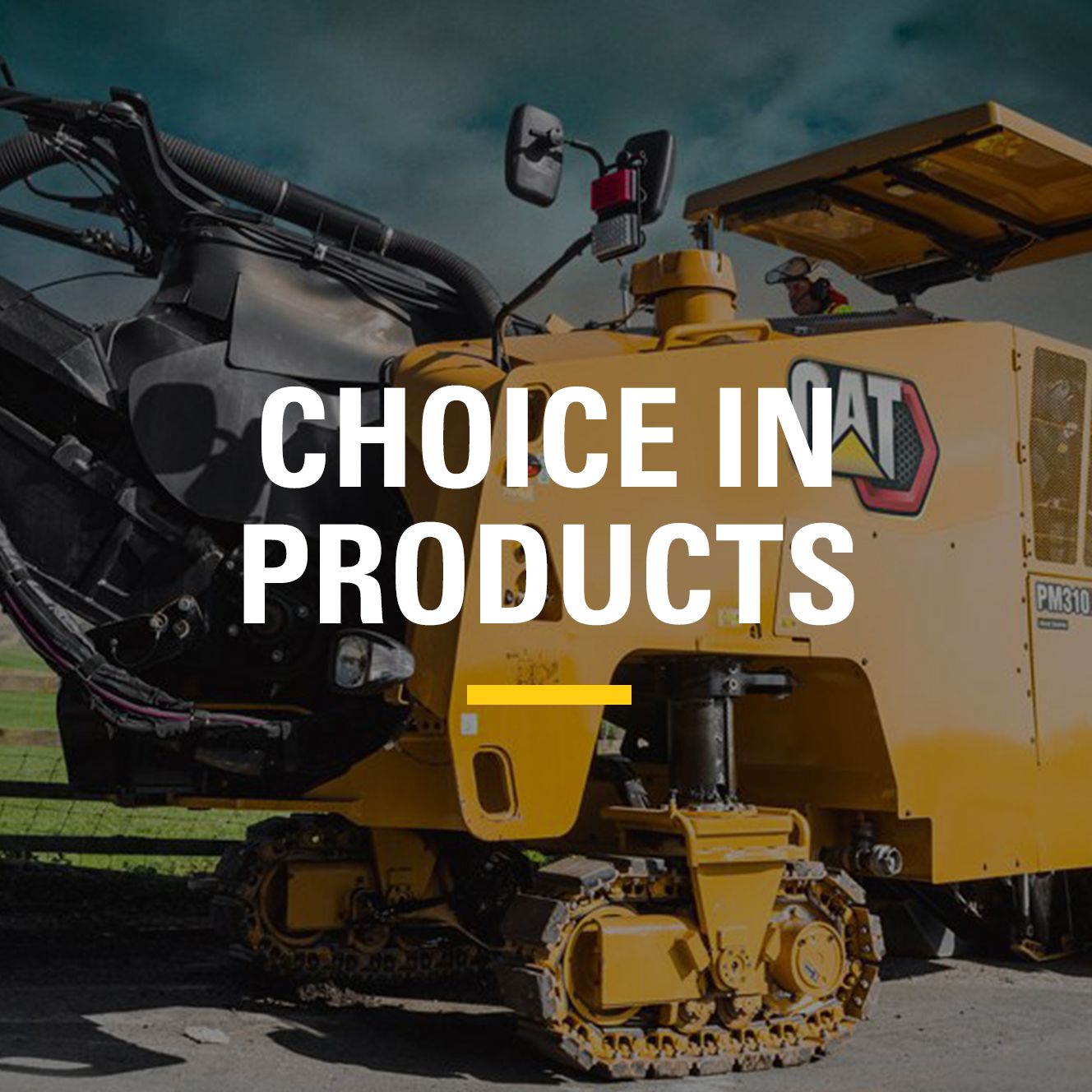 Choice in Products