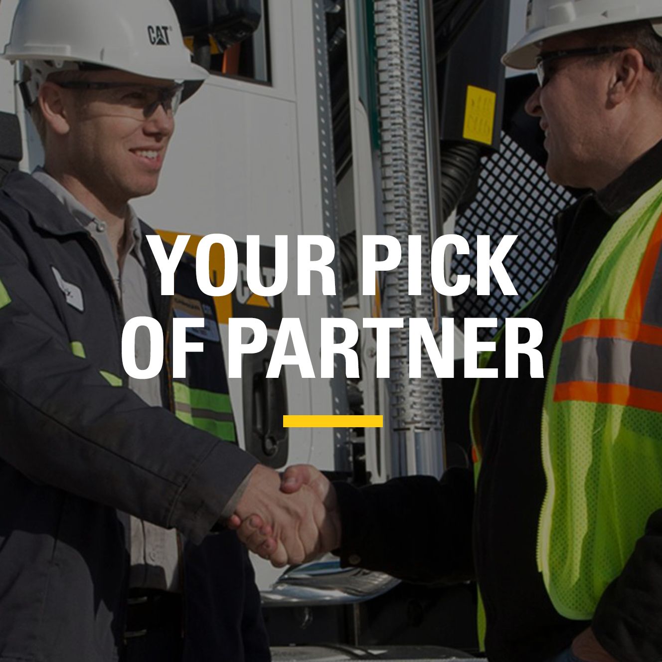 Your Pick of Partner