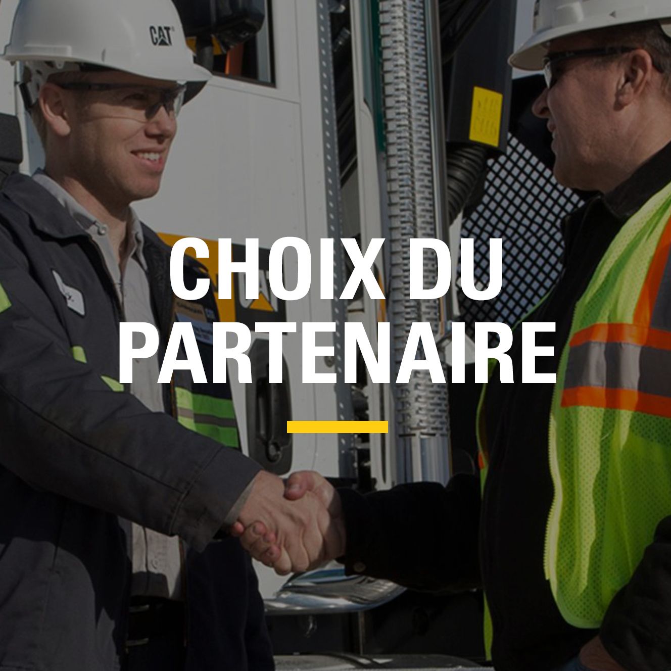 Choix du partenaire
