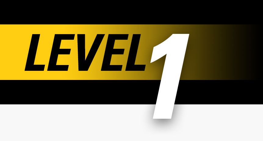 Level 1