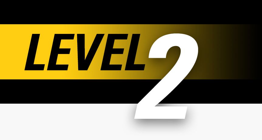 Level 2