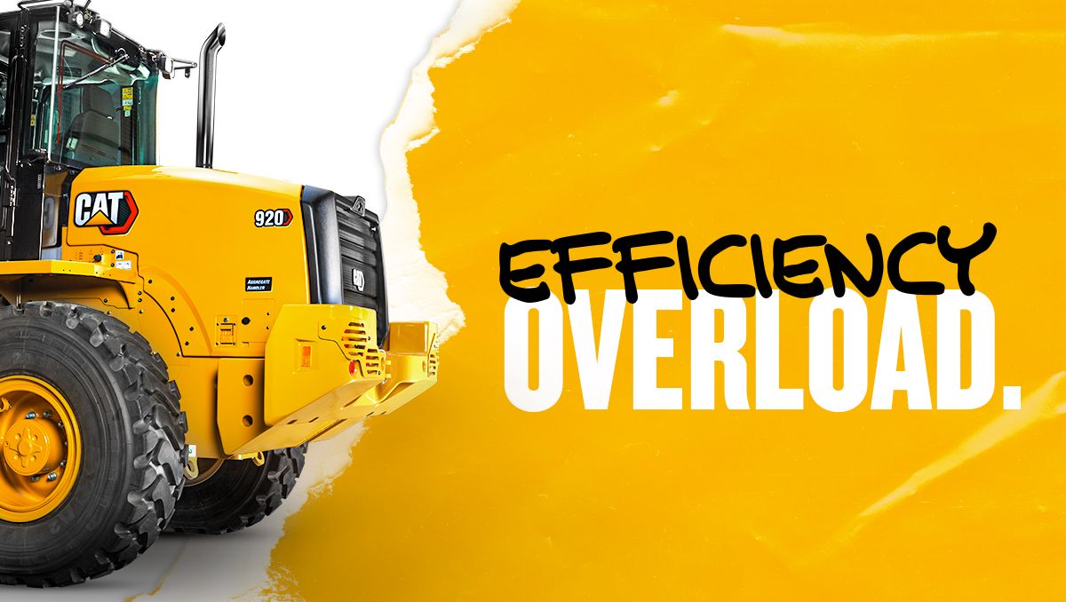 Efficiency as standard