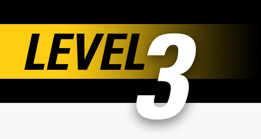 Level 3