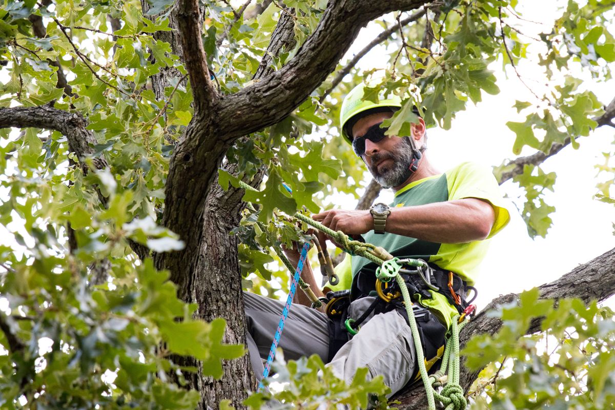 Renewal & Remembrance 2021