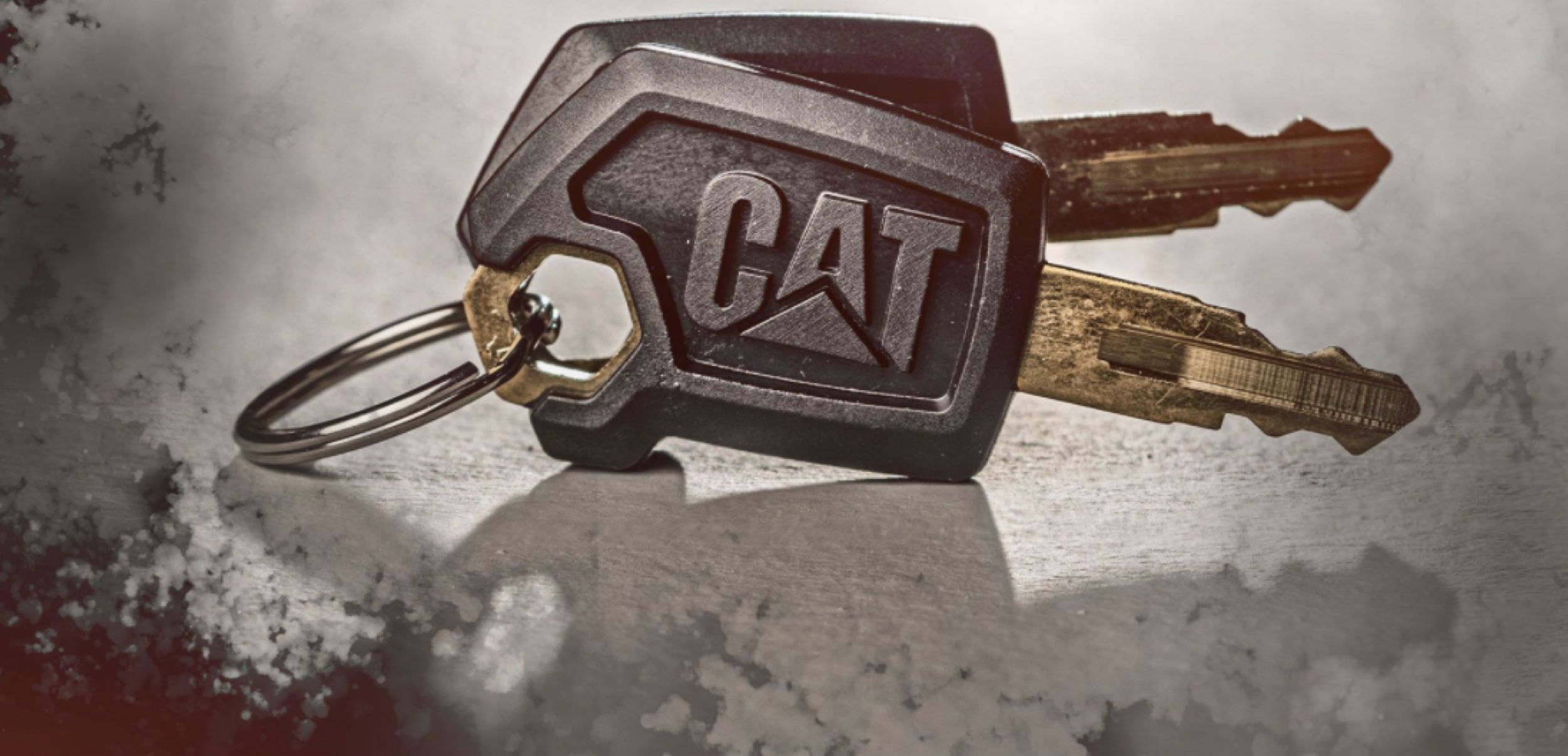 Join Cat Owners Club