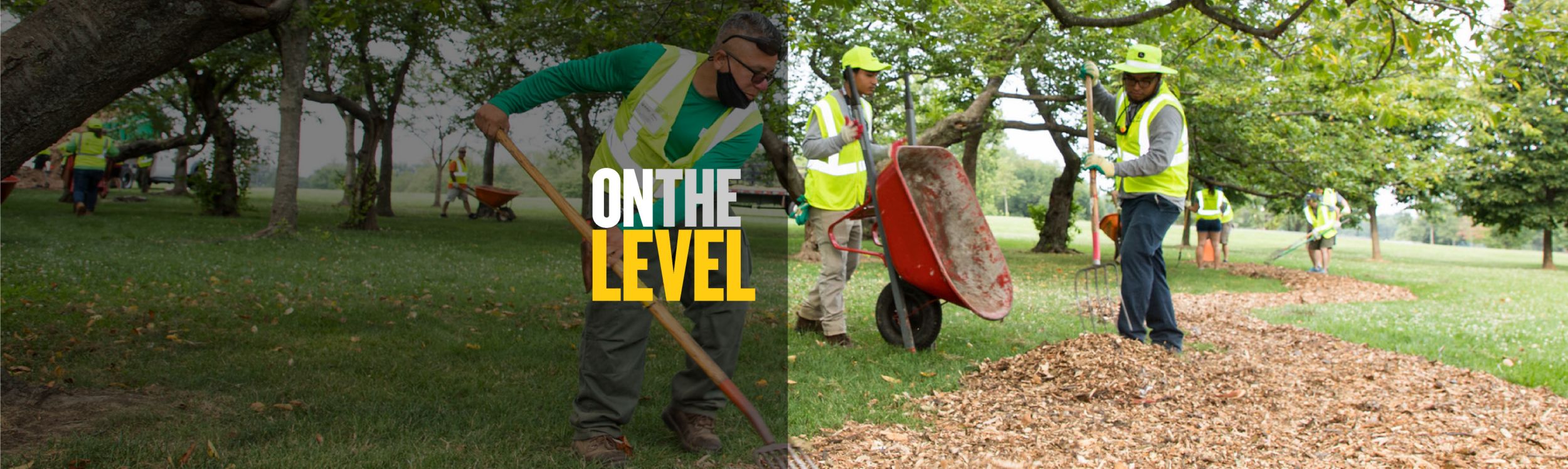 On The Level: NALP Renewal & Remembrance 2021