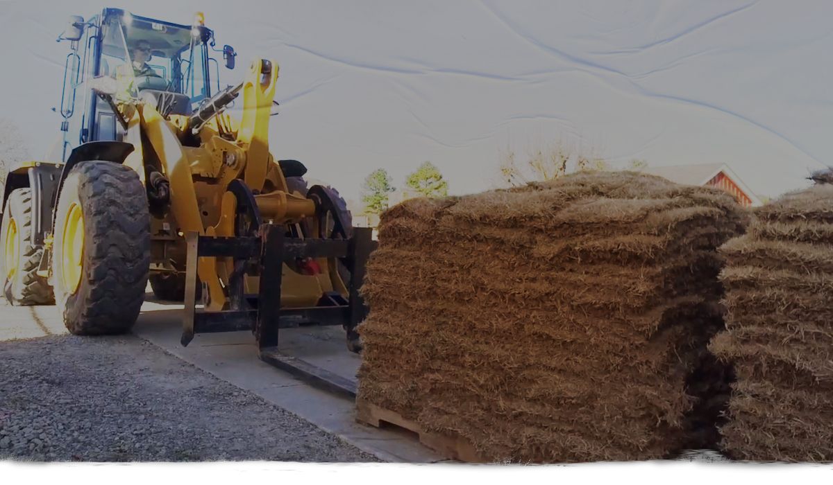 A Cat Wheel Loader Features Presentation.