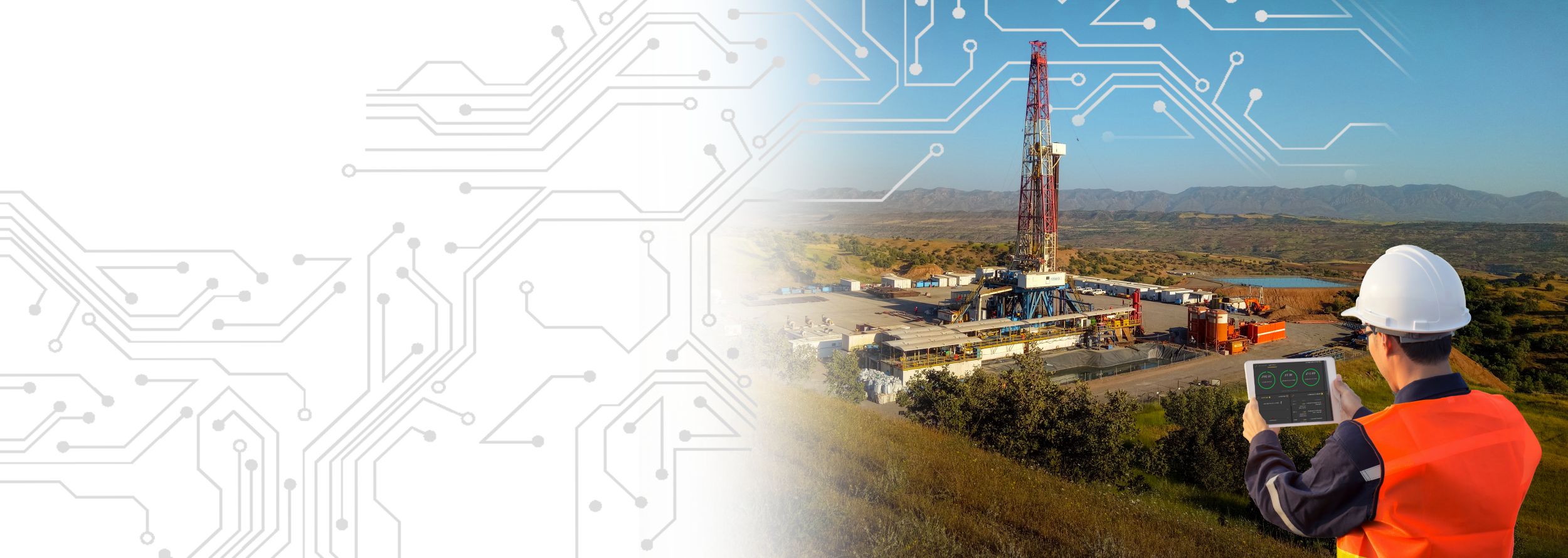 Cat Remote Fleet Vision