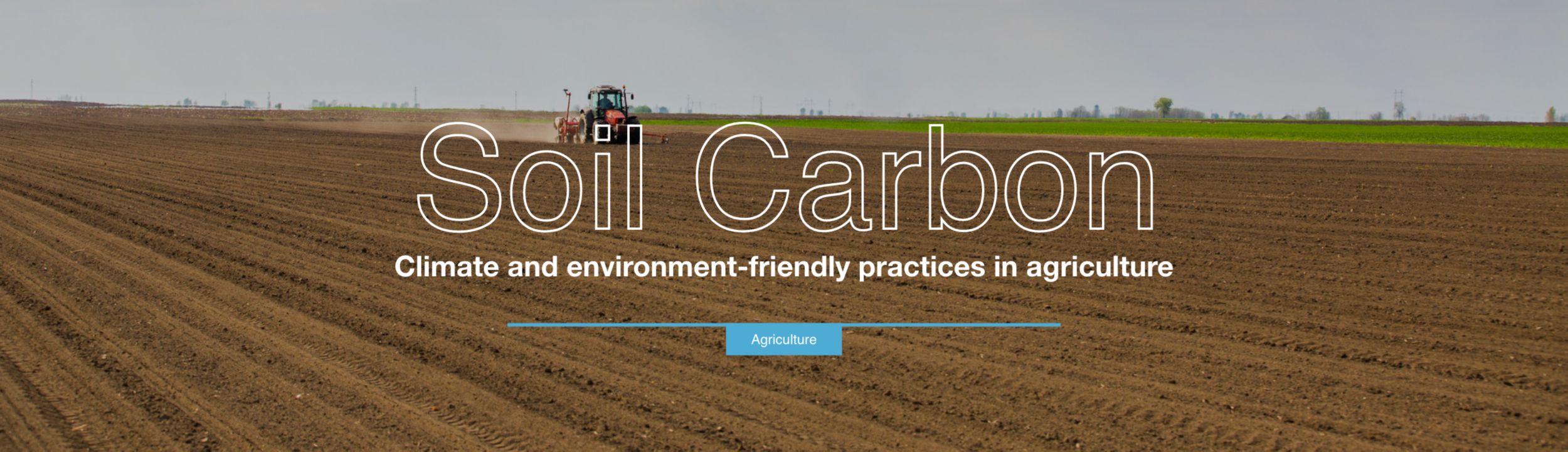 Michel Petitjeam Interview