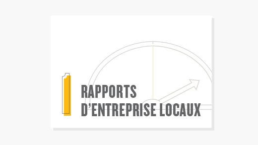 RAPPORTS D’ENTREPRISE LOCAUX