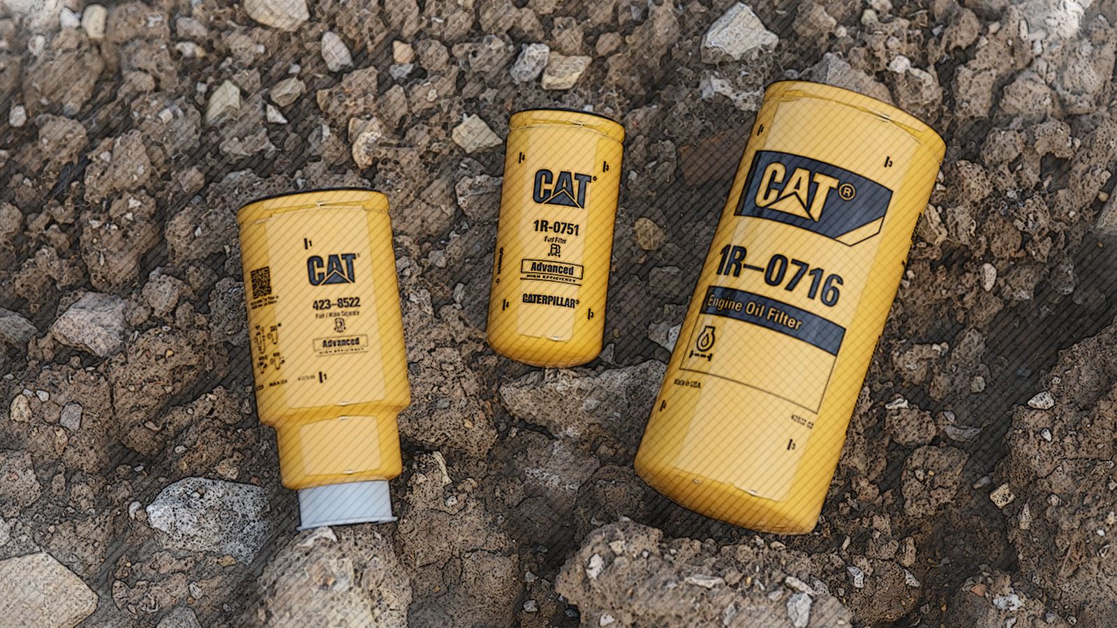 Cat Filters on Ground