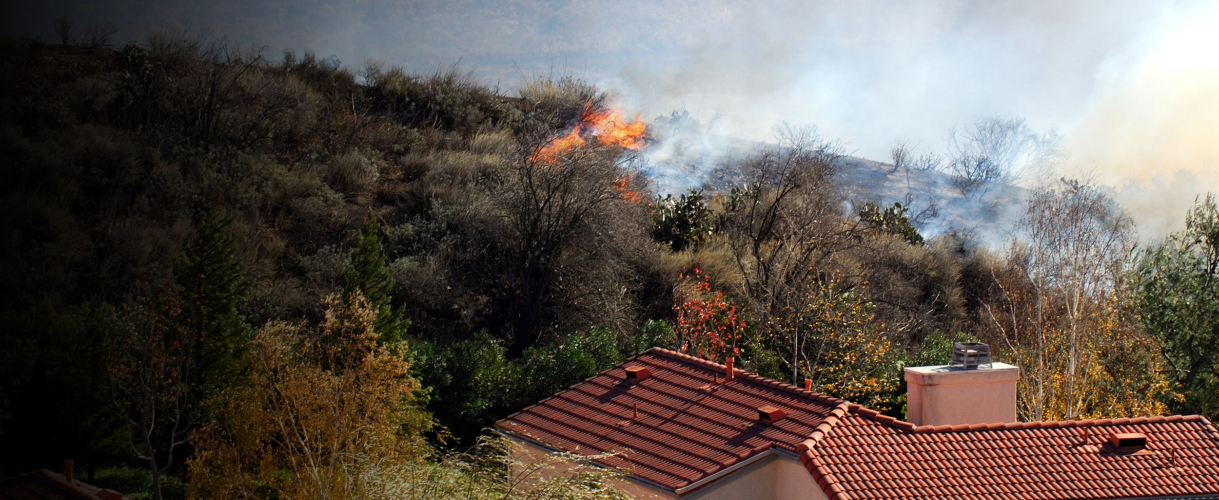 Wildfires