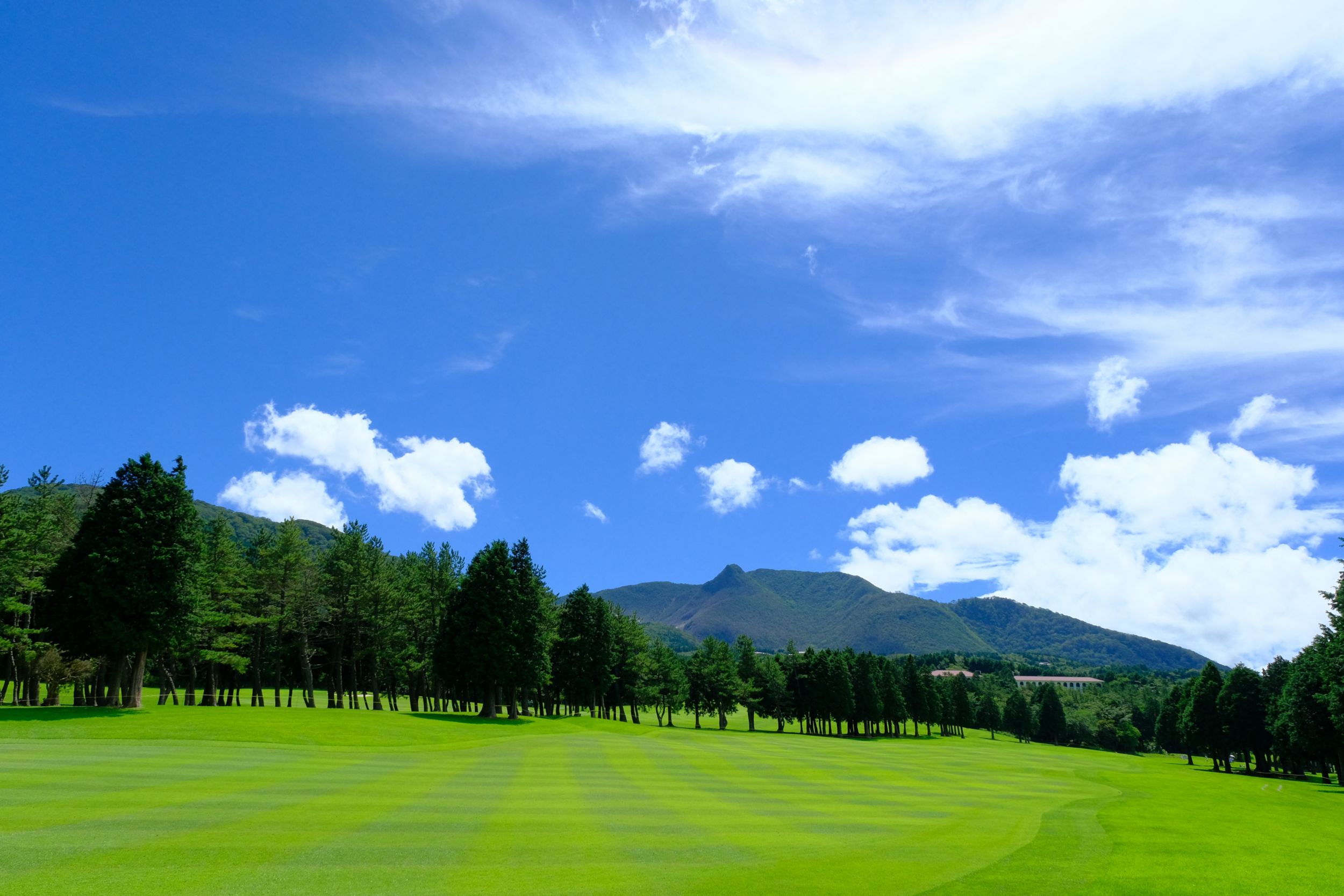 CAT®レディースの舞台裏