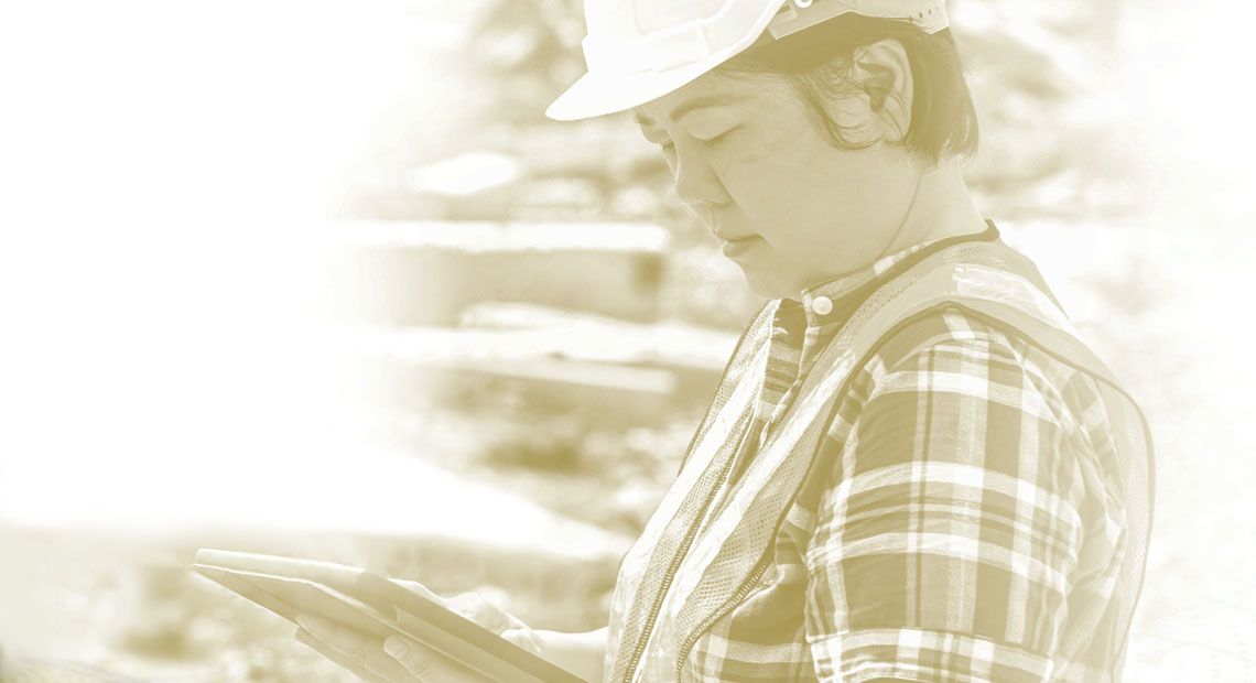 Cat Remote Fleet Vision