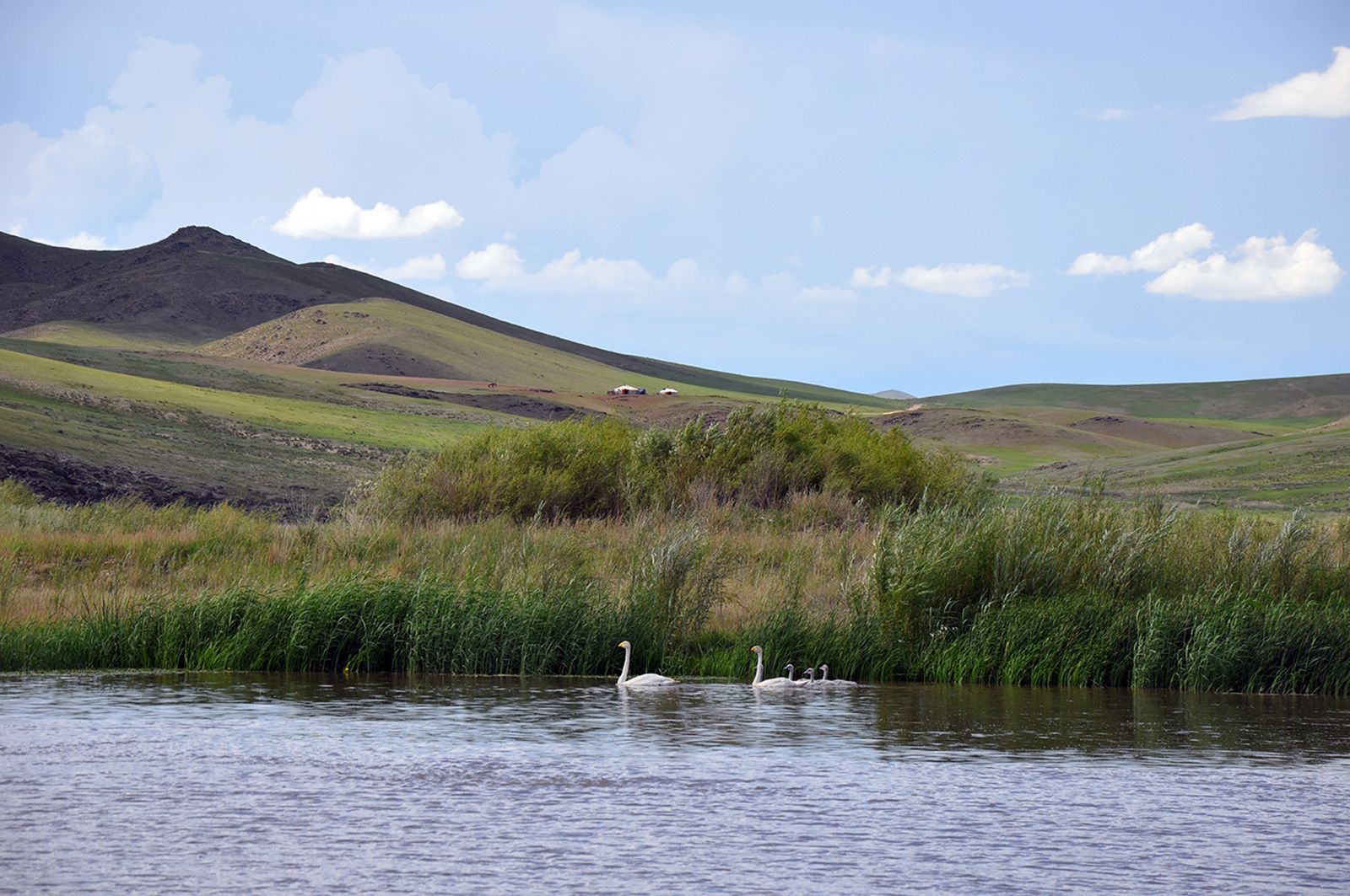 Mongolia Lake