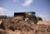 Cat® 907 Compact Wheel Loader