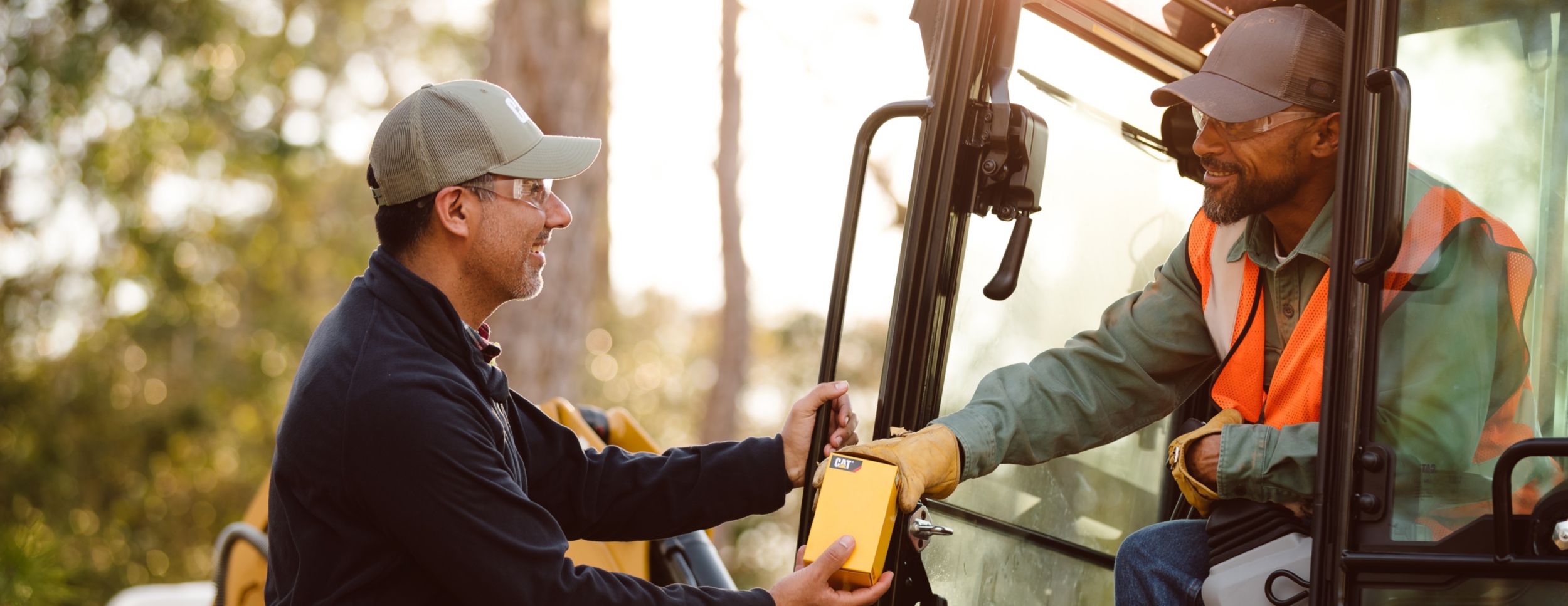 Cat Maintenance Options