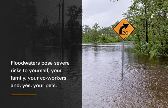 Floodwaters pose severe risks to yourself, your family, your co-workers and, yes, your pets.