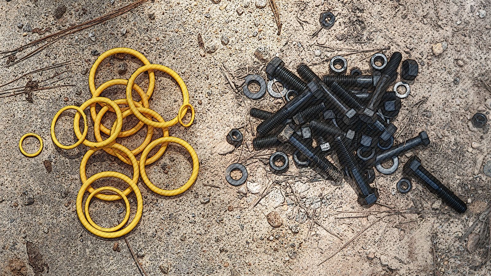 Cat Seals and Fasteners