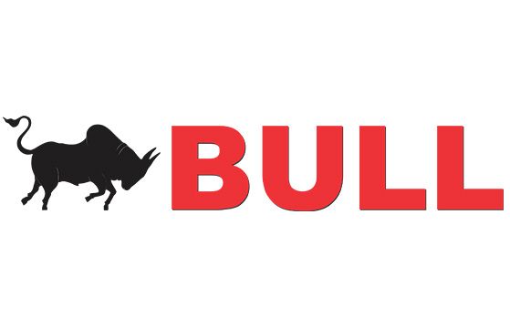 Bull Machines Logo