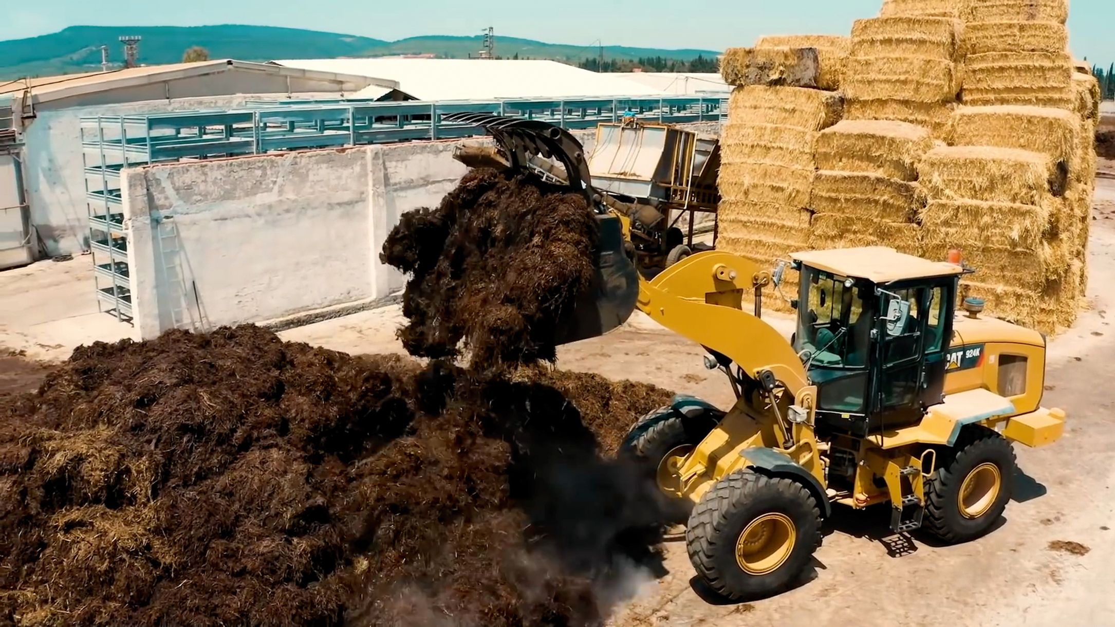 PE-MA Mushroom Production and Co