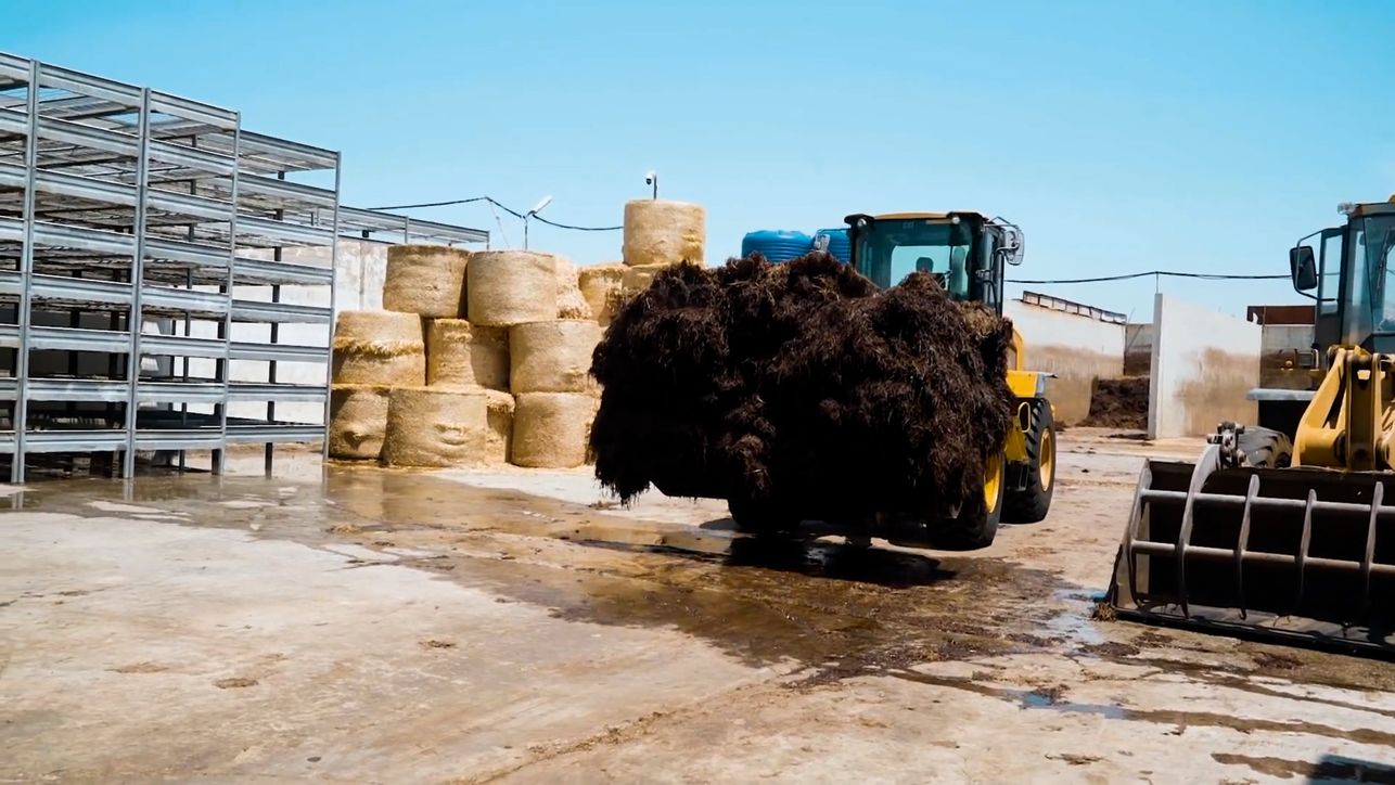 Les petites chargeuses sur pneus Cat, Borusan Cat