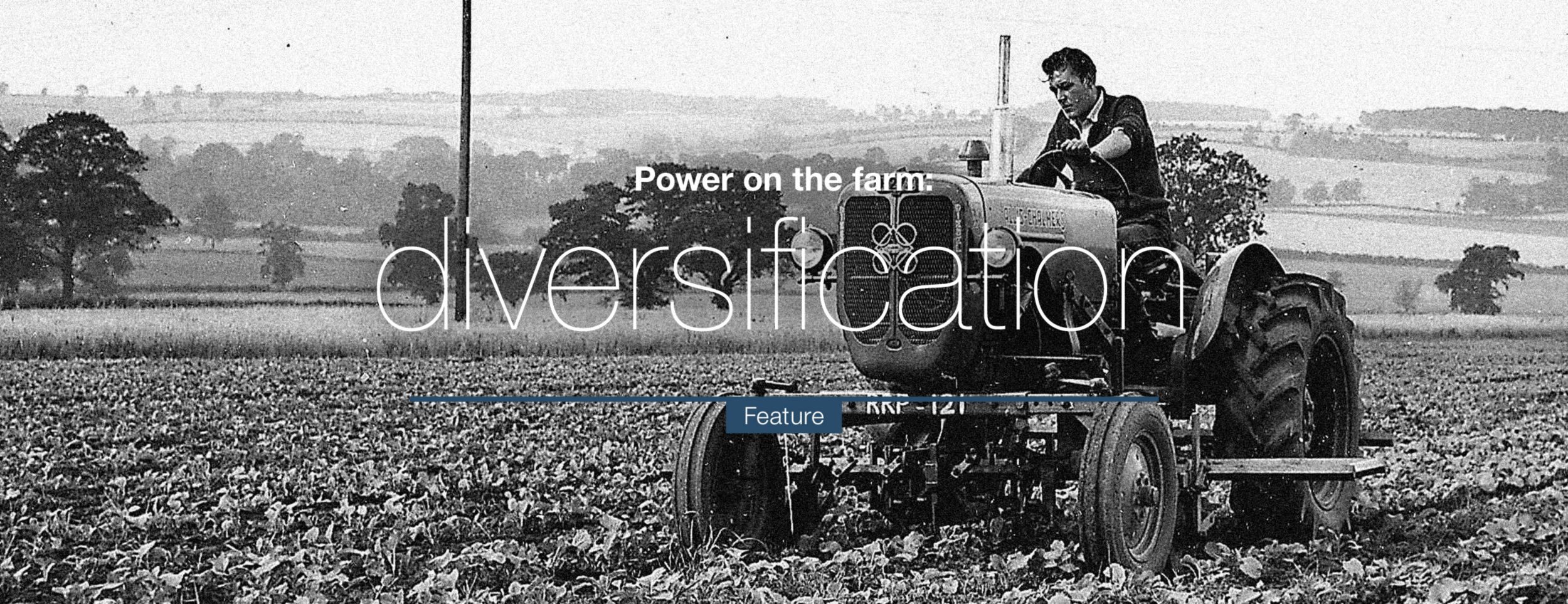 Interview with Dave Robinson