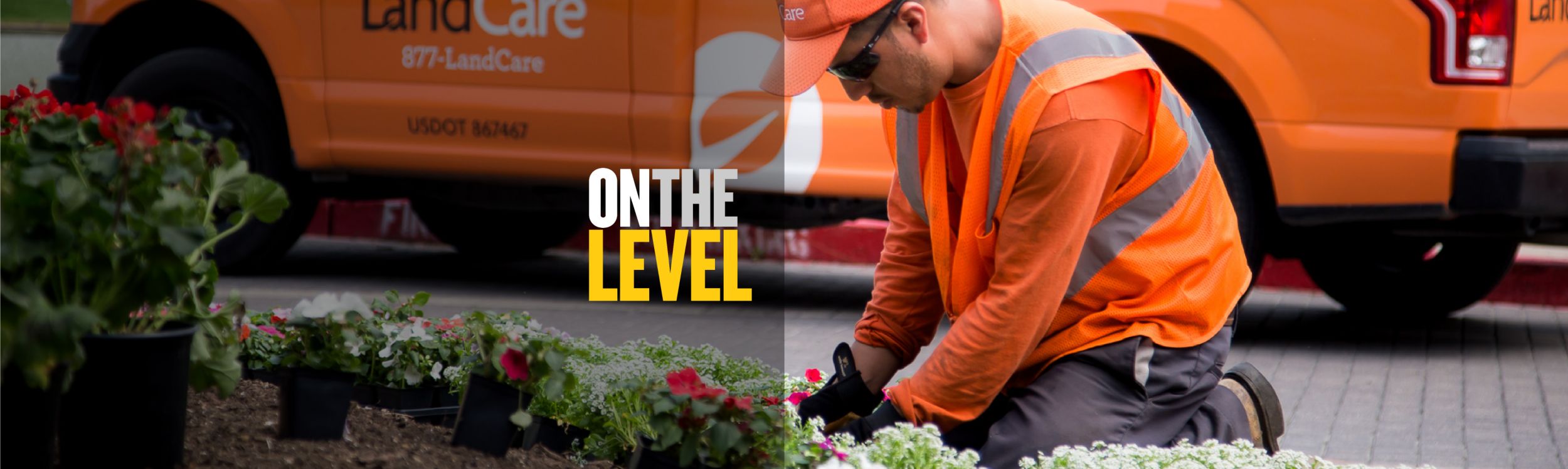 On The Level: Your Guide to Landscape Construction