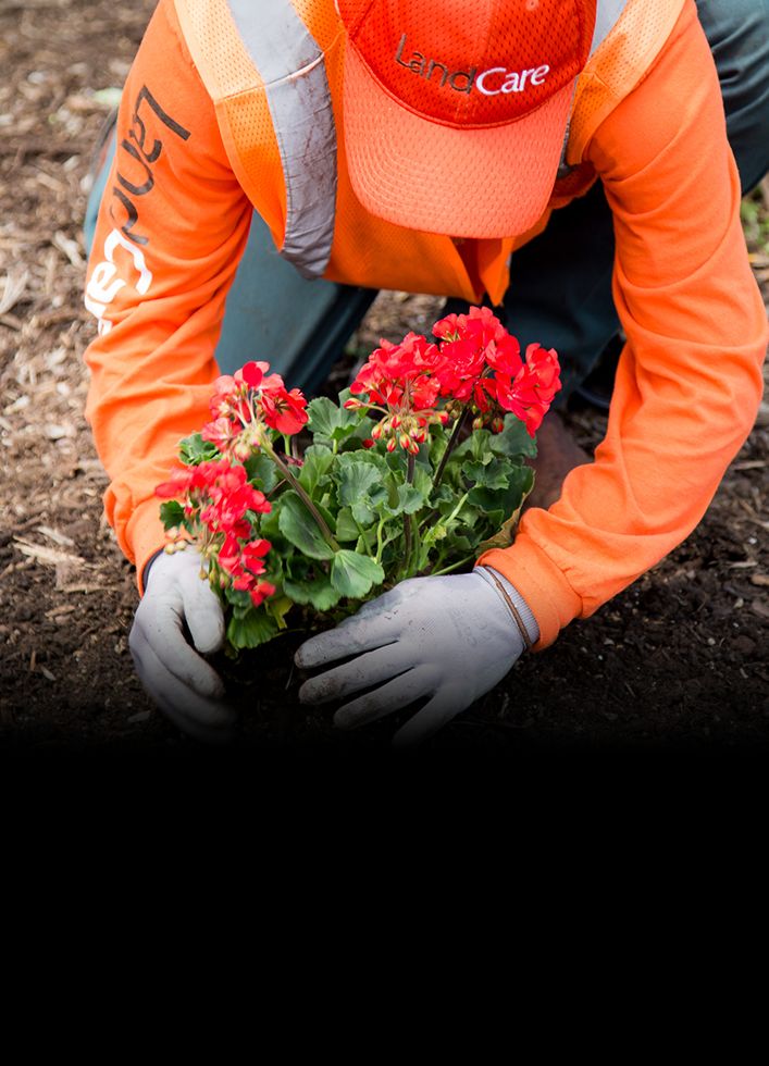 Help Your Business Flourish