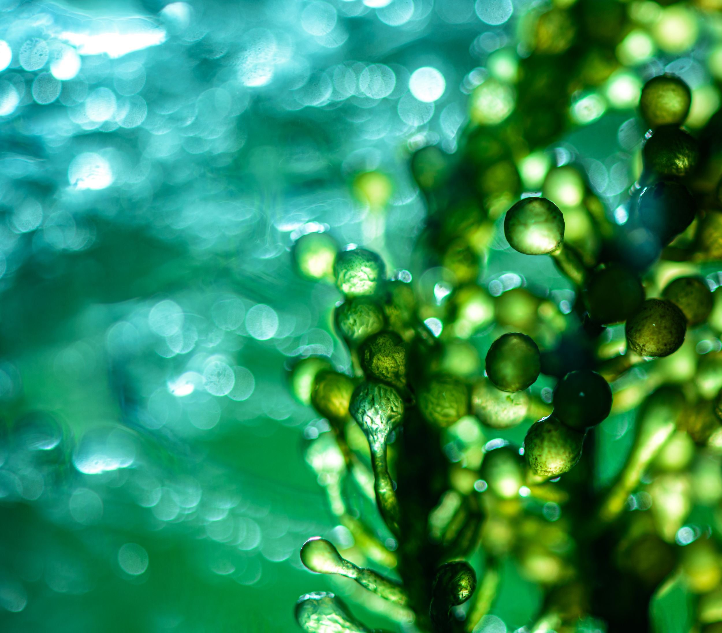 Close up of molecules