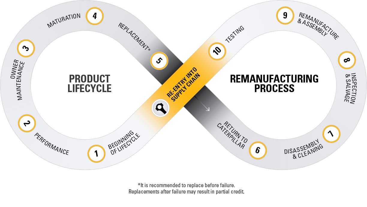 Lifecycle graphic