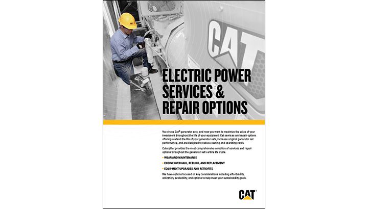 Services and Repair Options