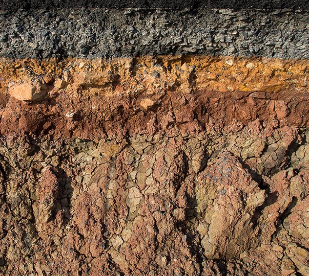 Conoce bien el suelo 