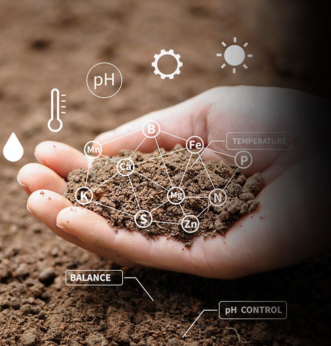 Conoce Cuál Es La Humedad Óptima Para Ese Suelo