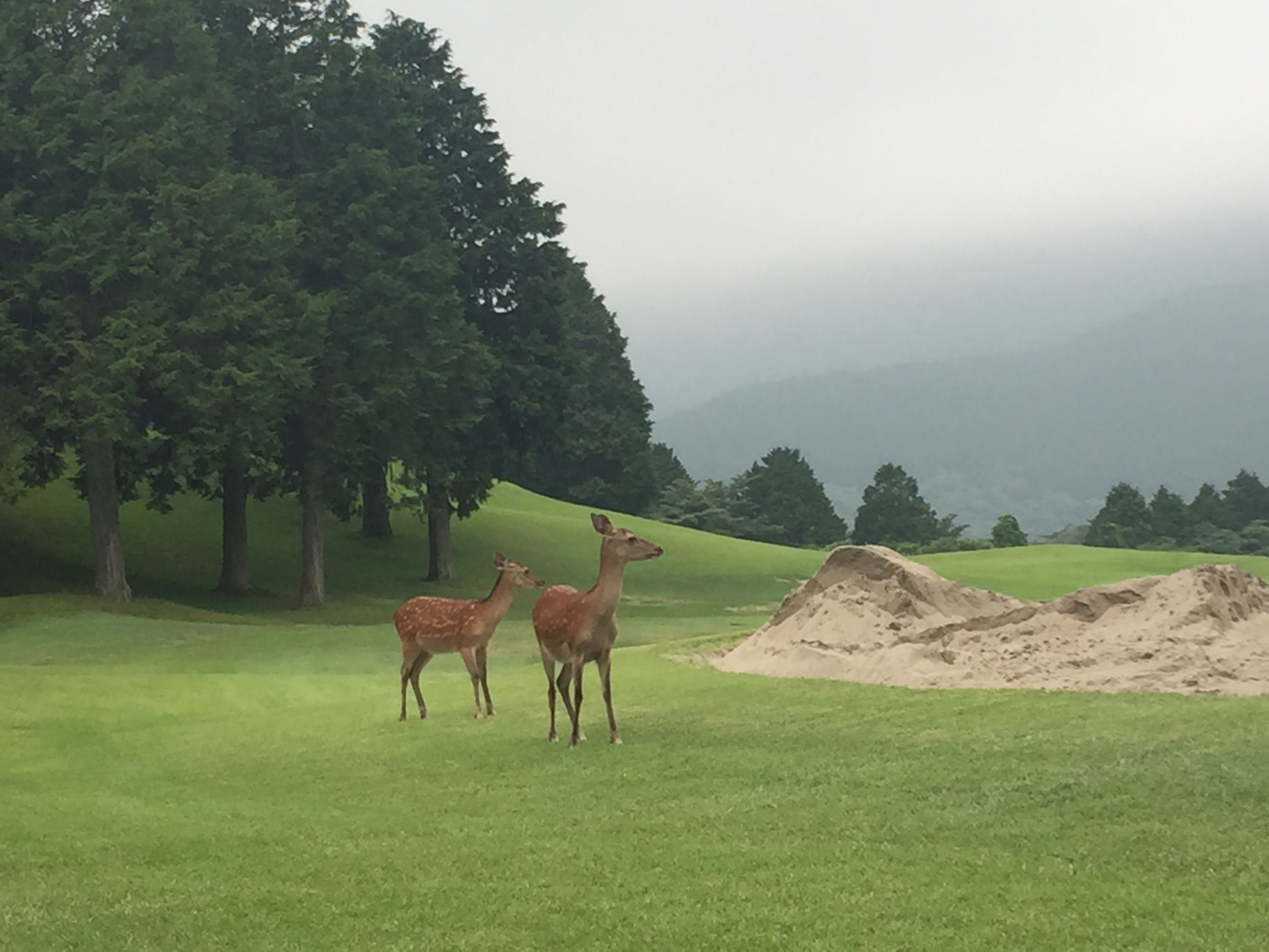 CAT®レディース2022開催！