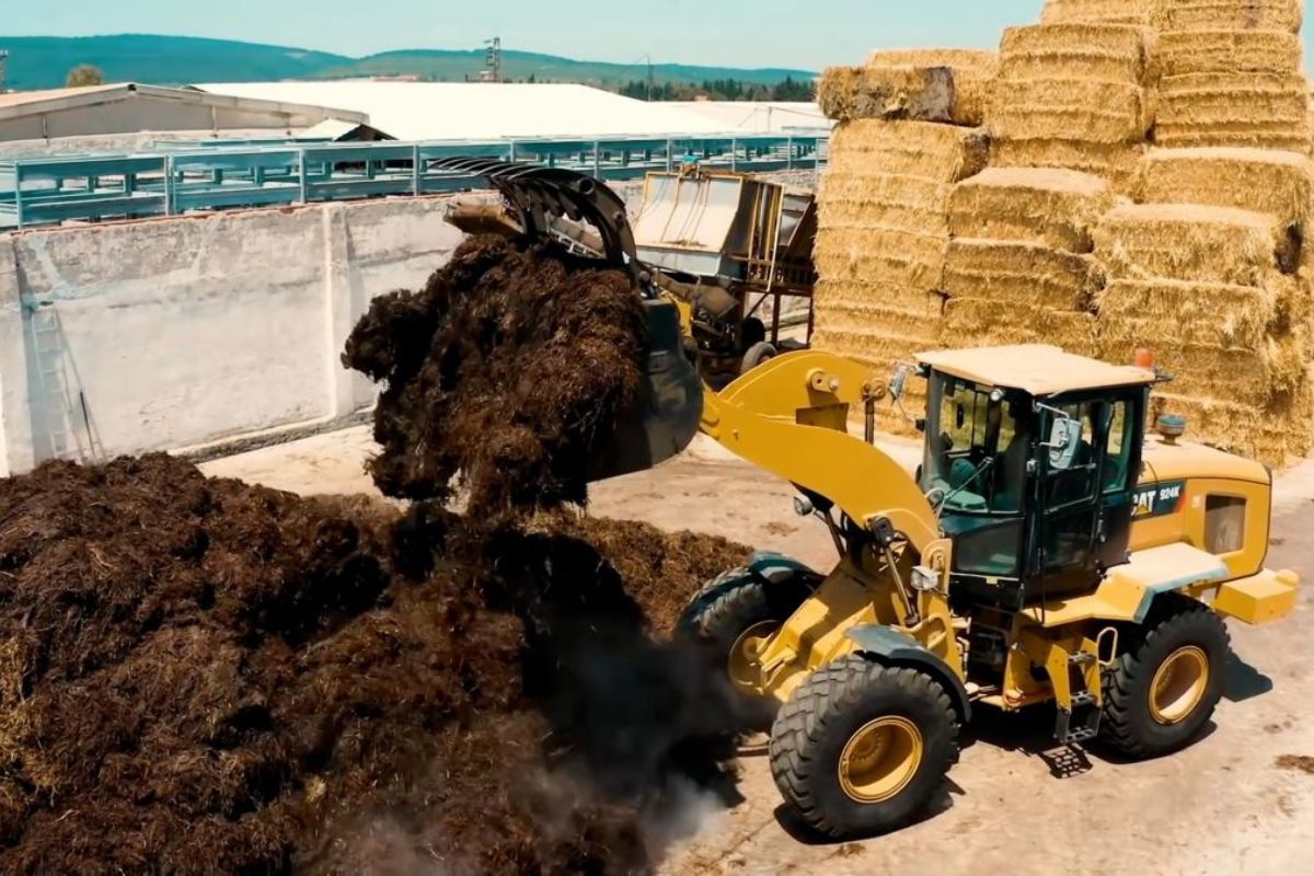 Comment Caterpillar A Aidé Un Producteur De Champignons