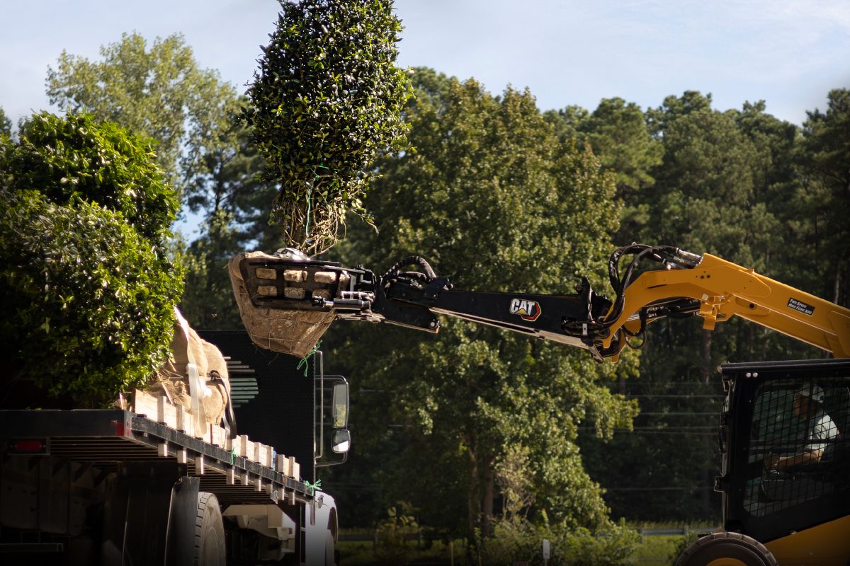 The new Cat® Nursery Grapple is the ideal attachment for loading and moving individual root ball trees with ease.