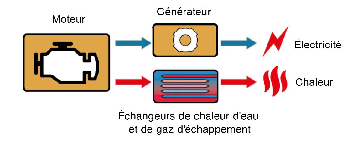Eneria power profile