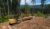 FM548 General Forestry and Log Loader Machine