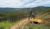 FM548 General Forestry and Log Loader Machine