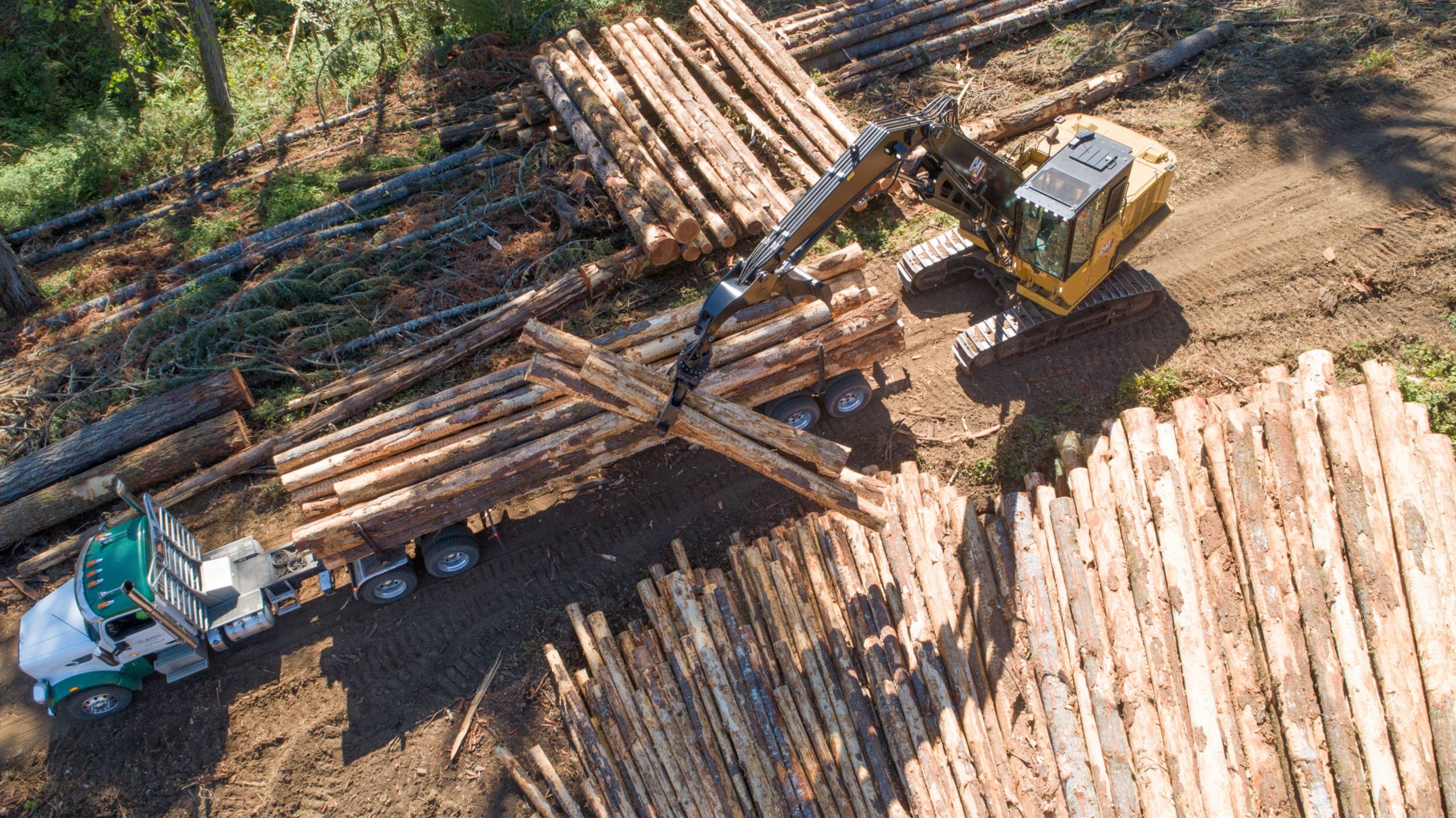 Machine pour applications forestières générales et chargeur forestier FM558