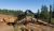 FM558 General Forestry and Log Loader Machine