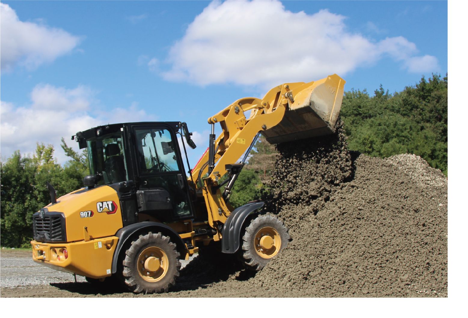 最新版 CAT CLUB NO.116