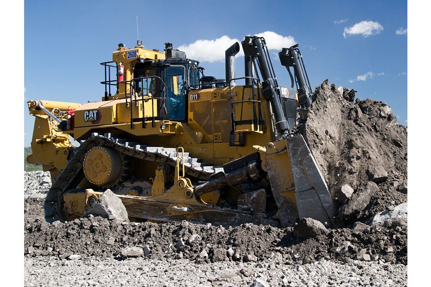 D11