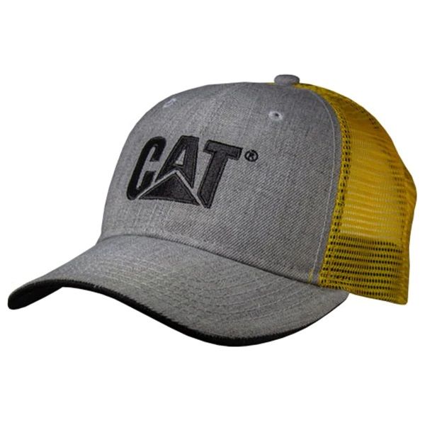 cat with baseball cap