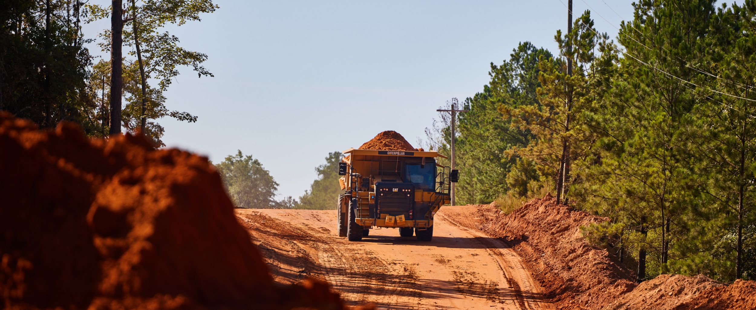 Cat construction site 